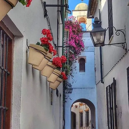 Precioso Loft El Arcángel Junto A La Ribera Apartamento *